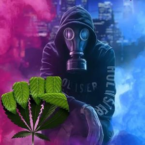 Meet your Posher, Gavin